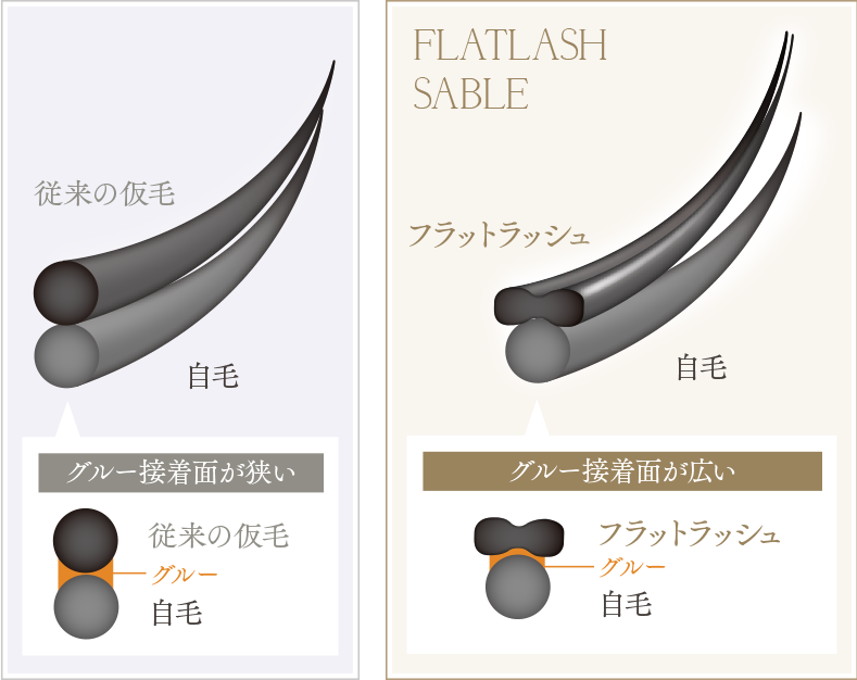 FLATLASH SABLE 比較図